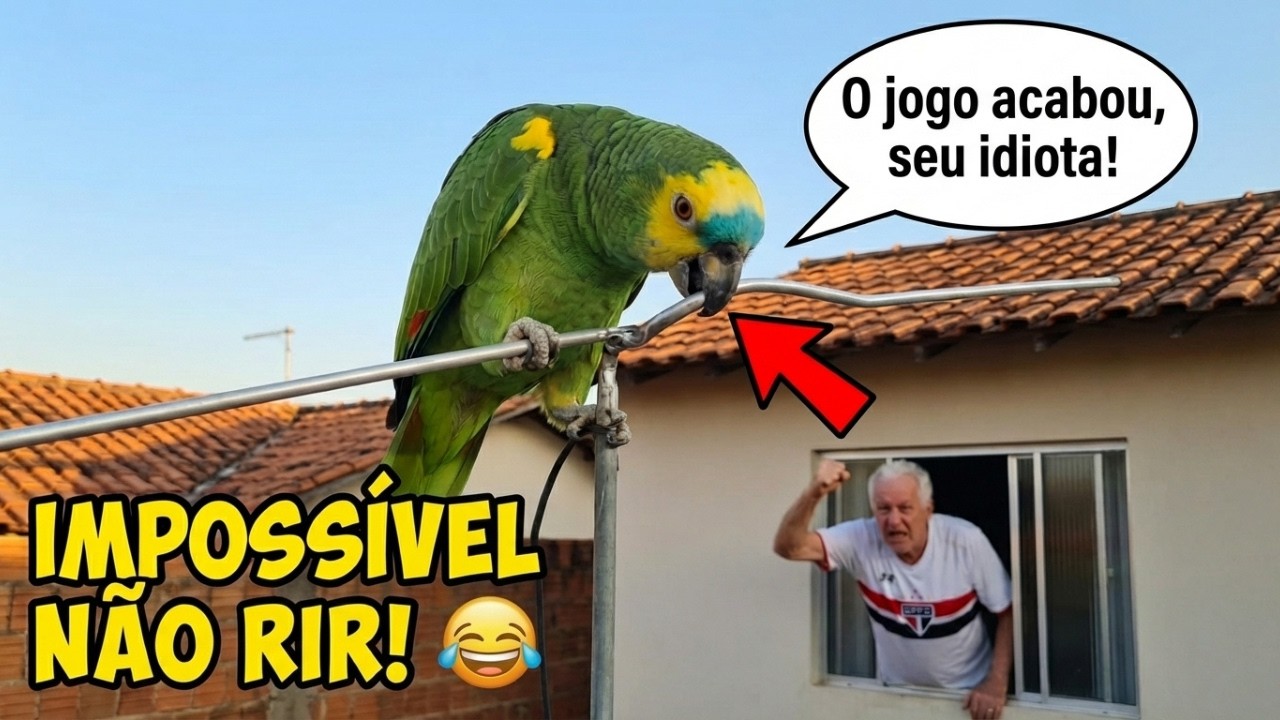 PURA RISADA: Papagaios Engraçados e Faladores Que Vão Alegrar o Seu Dia!