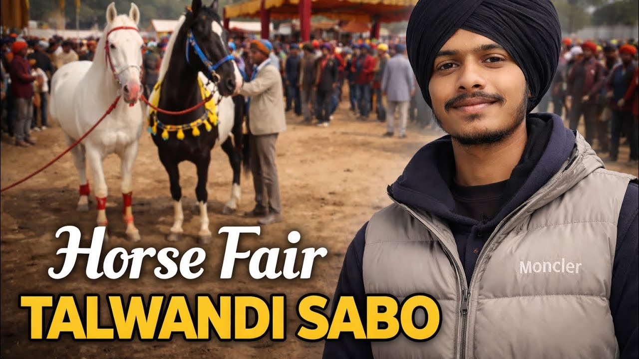 Talwandi Sabo Horse Fair 🐎 🔥 || ਘੋੜਿਆ ਦਾ ਮੇਲਾ ਤਲਵੰਡੀ ਸਾਬੋ 🐎🔥  #TalwandiSabo #horsefair #ghodiyan 