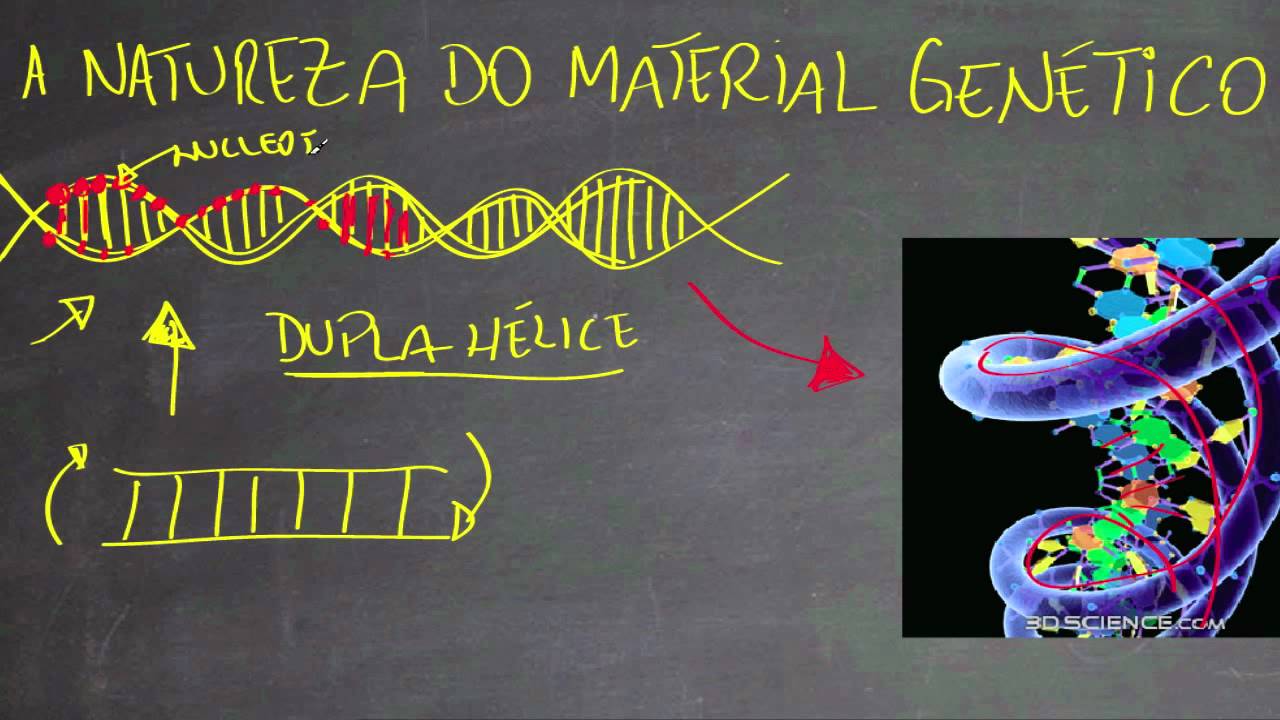 Natureza do Material Gen&eacute;tico