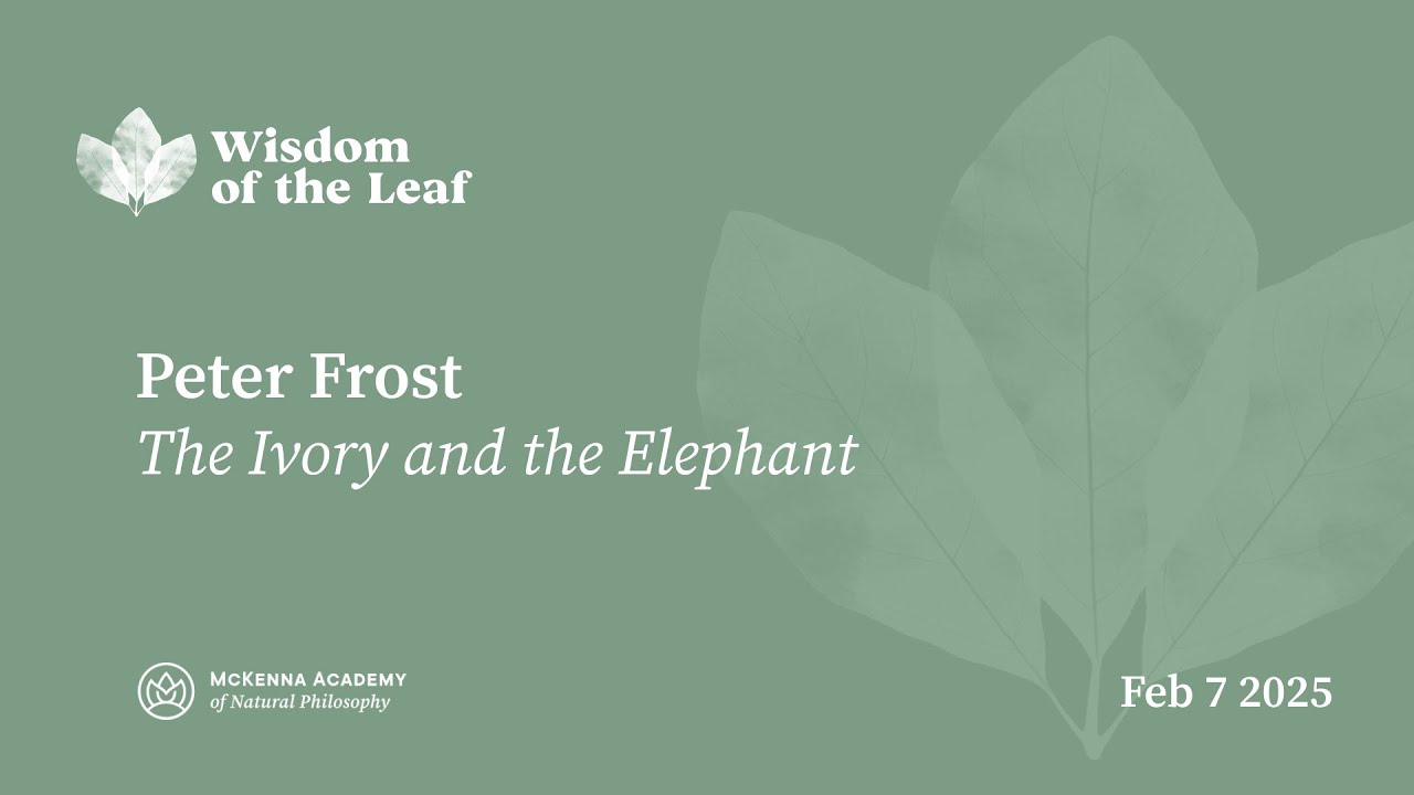 Peter Frost: The Ivory and the Elephant