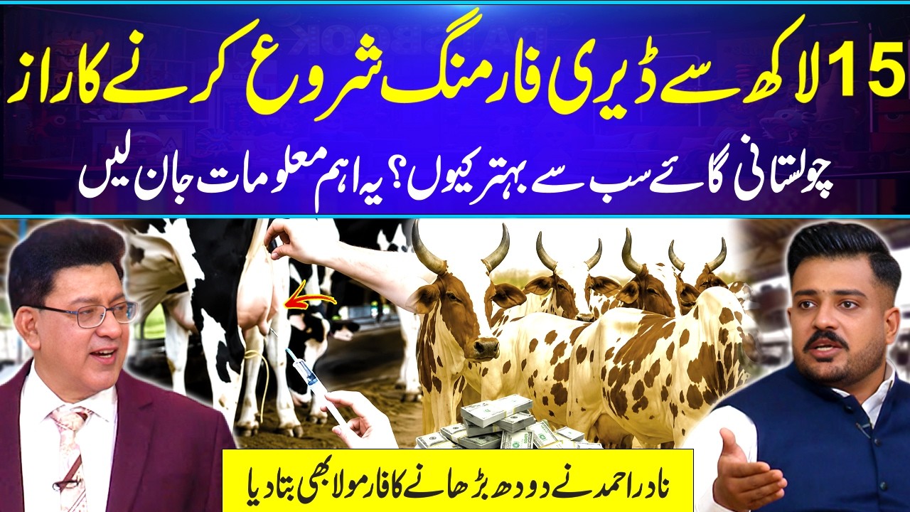 Start Dairy Farming with Just 15 Lakh! Cholistani Cow Secrets & Milk Formula | @NadirAhmed-yv2id