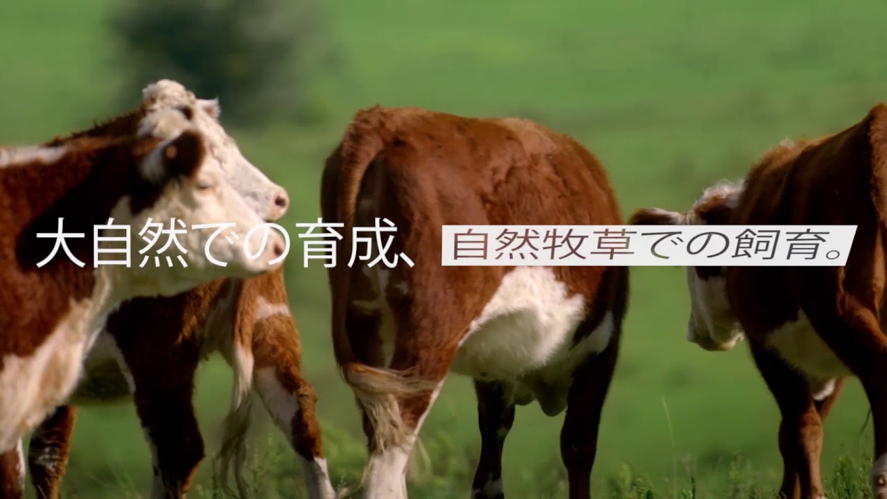 Uruguayan Meats - Everything is connected Japan