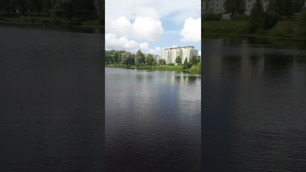 21 июля 2024 г.