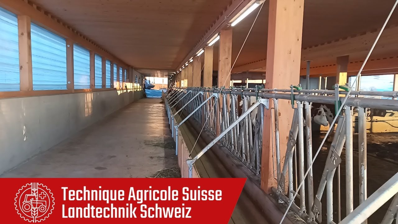 Clever equipment in a new stable