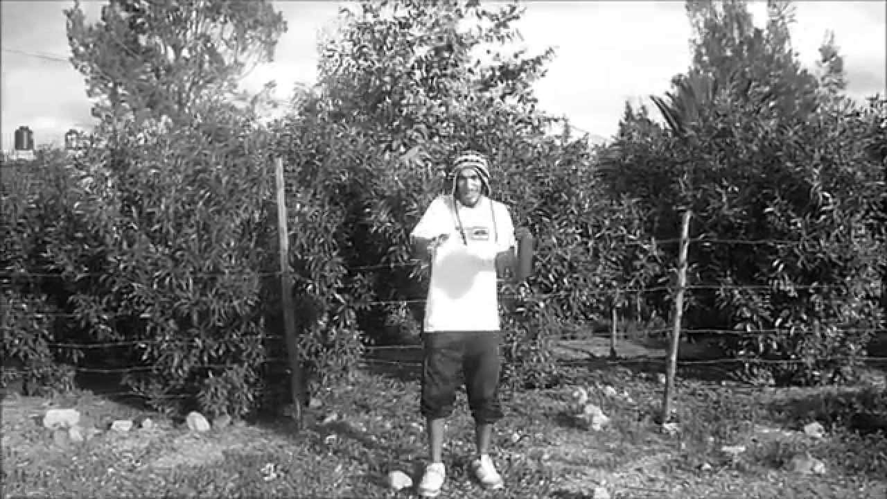 Disidentes - Cuando vaya mal | Videoclip |