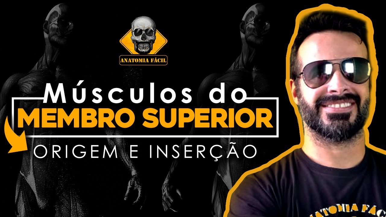 M&Uacute;SCULOS DO MEMBRO SUPERIOR MACETES DE ORIGEM E INSER&Ccedil;&Atilde;O