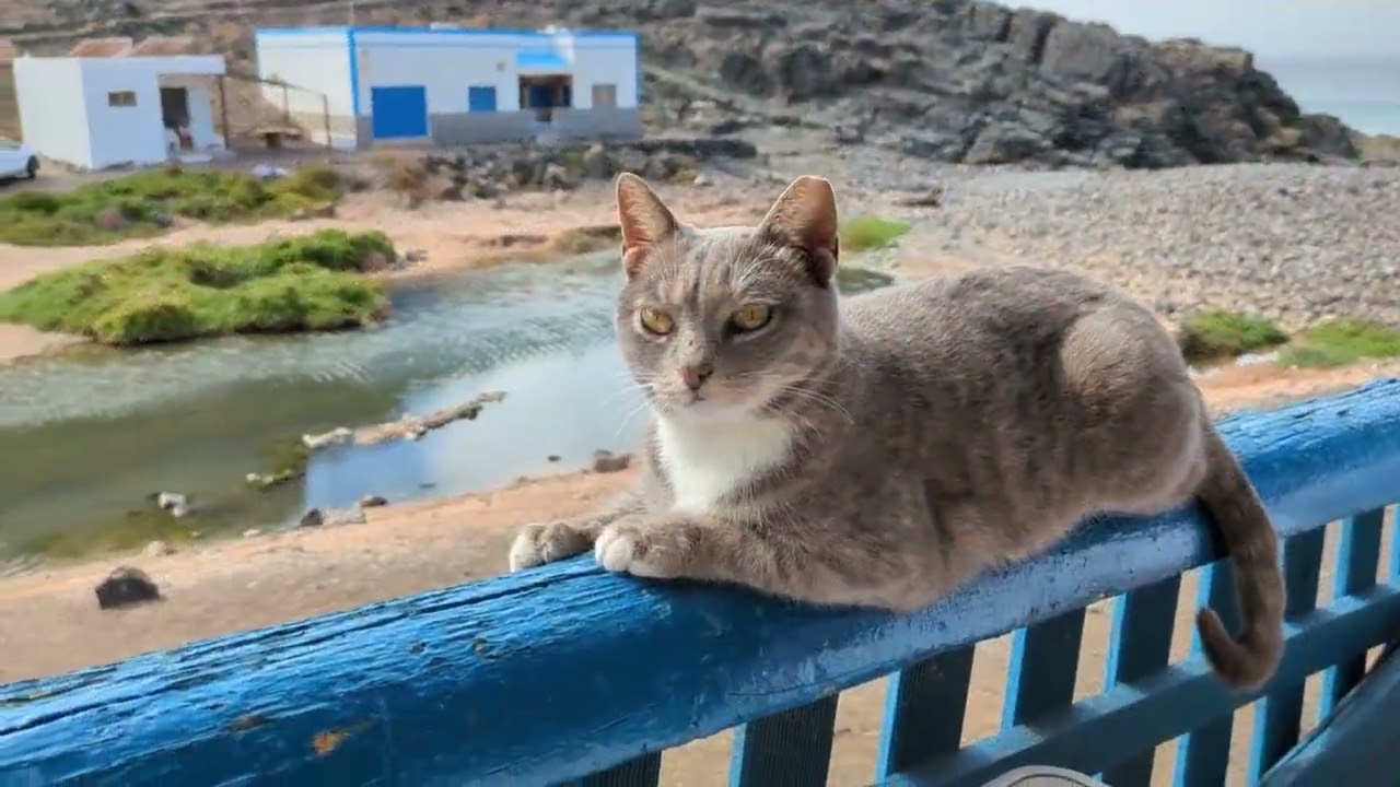 Fuerteventura im Dezember 2023
