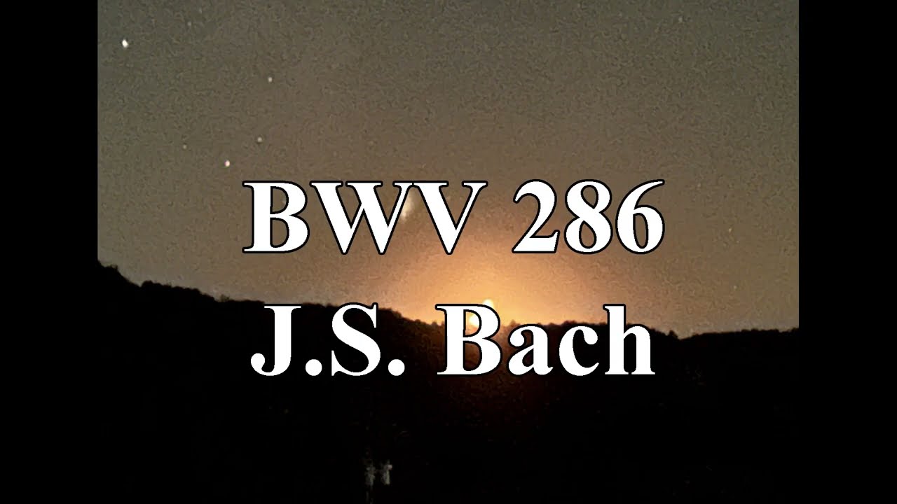BWV 286 - J.S. Bach
