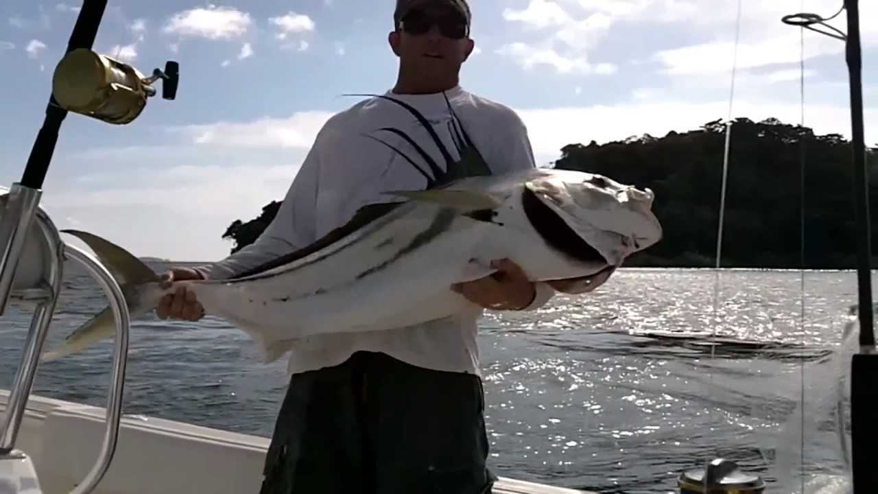 Roosterfish Doubleheader Panama!