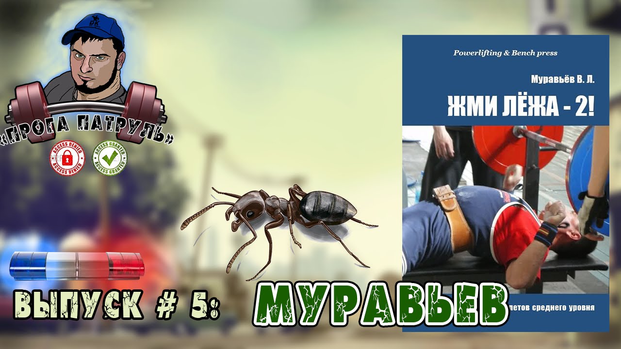 Прога-патруль #5: Муравьев | Химики или натуралы?!