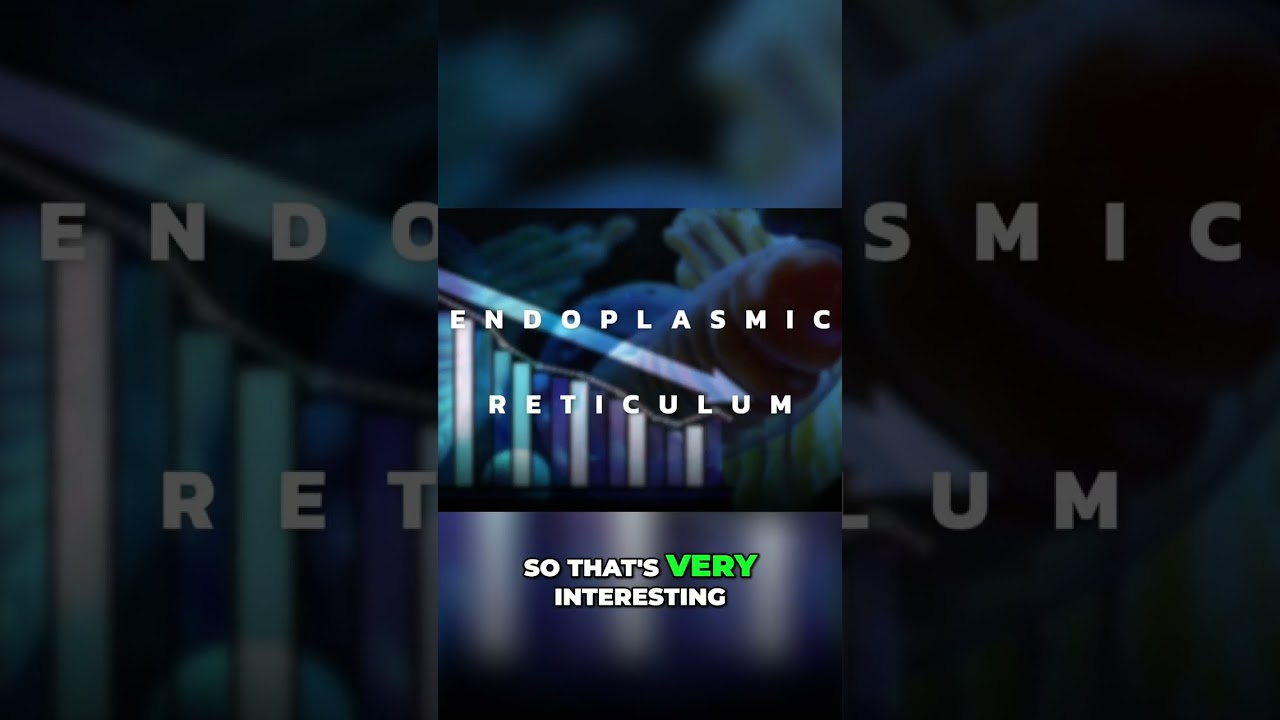 Vitamin B3: Reduce Oxidative Stress with Niacinamide