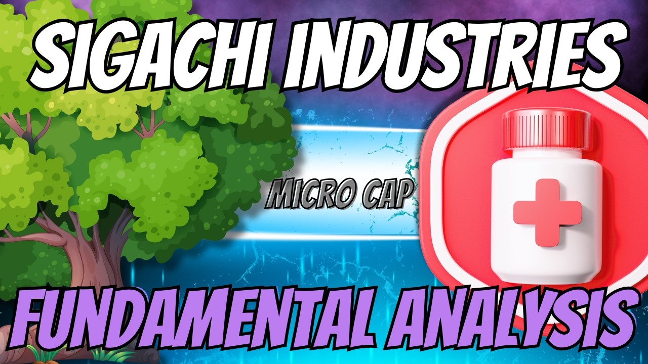 🌴 Microcap Multibagger? Fundamental Analysis - Sigachi Industries