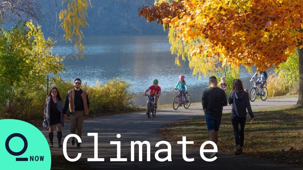 2020 Close to Becoming the Hottest Year on Record