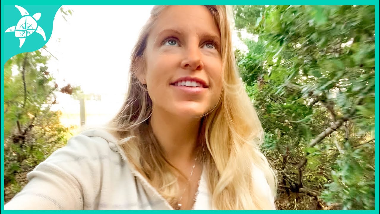 Sailing to Beaufort, NC and Wrightsville Beach! Wild horses!  Scary story you never heard...