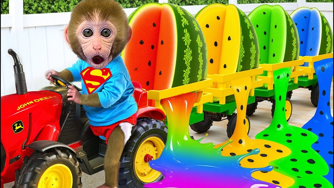 🐵Beb&eacute; Mono BonBon hace caramelos de gelatina y los come con gusto.