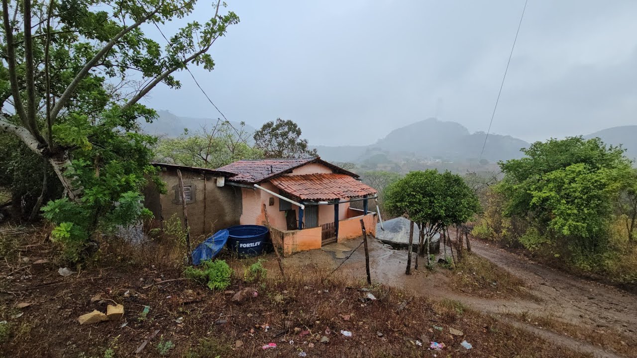 Uma leve chuva ⛈️aqui no sitio graças a Deus 