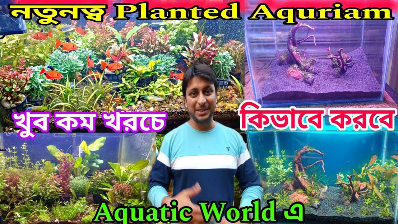 নতুনত্ব Planted Aquriam কিভাবে Setup করবে | How To Setup Planted Aquriam | Planted Aquriam Tips