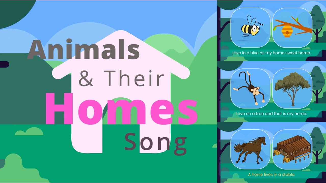 Animals & Their Homes Song | kids songs & nursery rhymes | Pussy Cat | Leaps N Bounds Learning