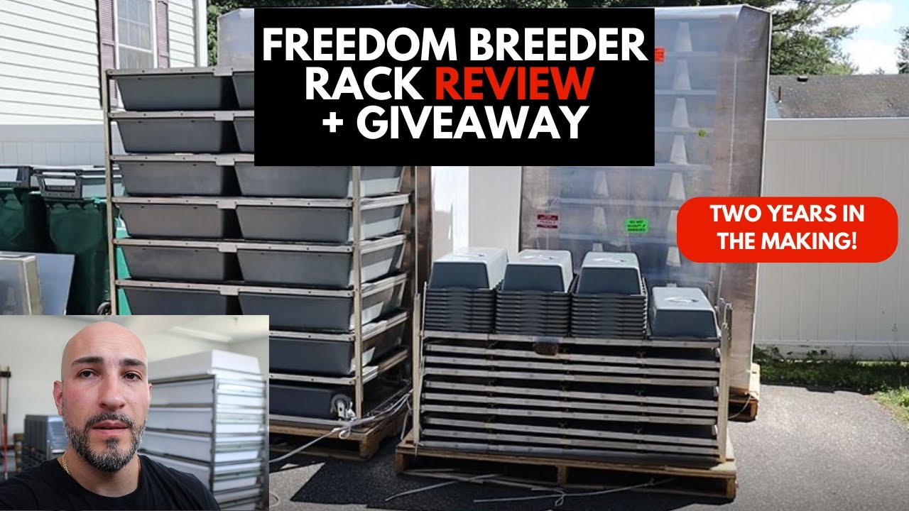 Freedom Breeder Rack Review and GIVEAWAY