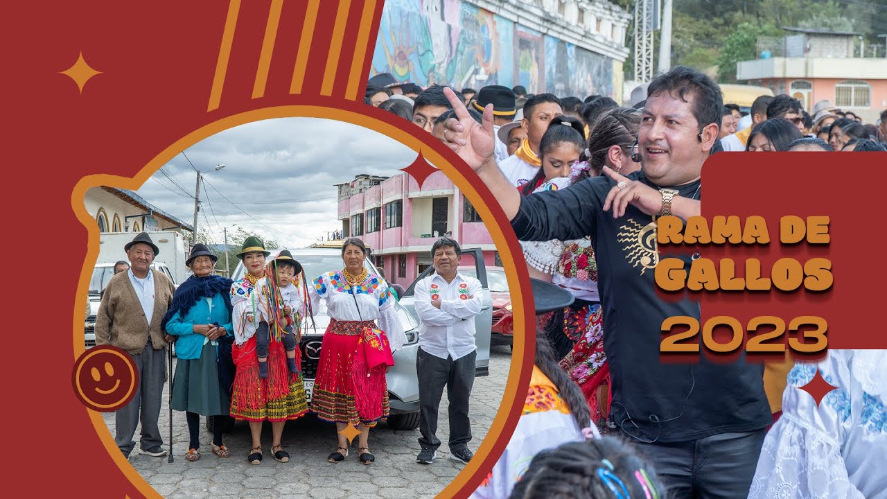 Rama de Gallos Araque 2023