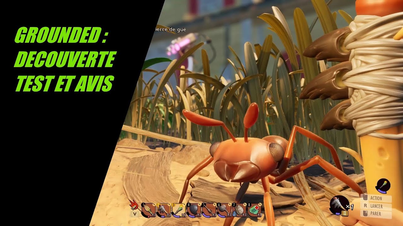 GROUNDED FR : DECOUVERTE TEST ET AVIS
