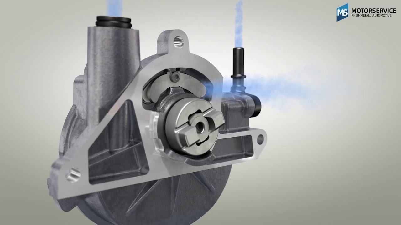 ¿Cómo funciona una bomba de vacío? (animación 3D) - Motorservice Group