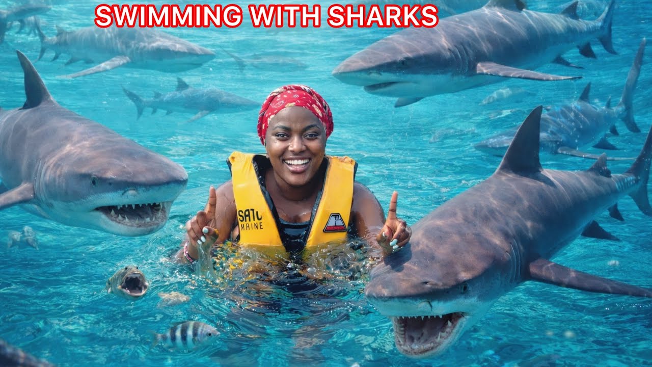 Swimming With Sharks in Solomon Islands 🇸🇧 