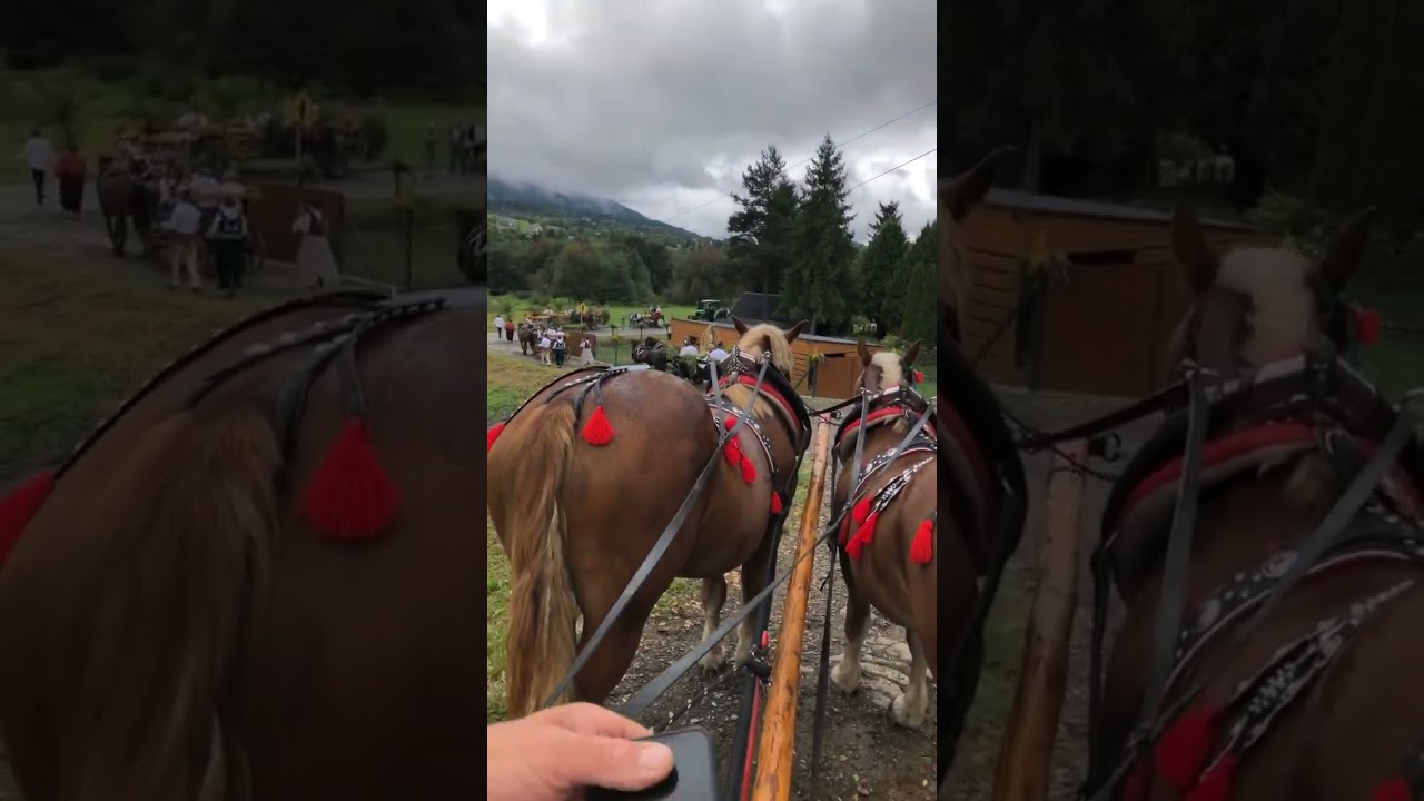 Dożynki kasina wielka