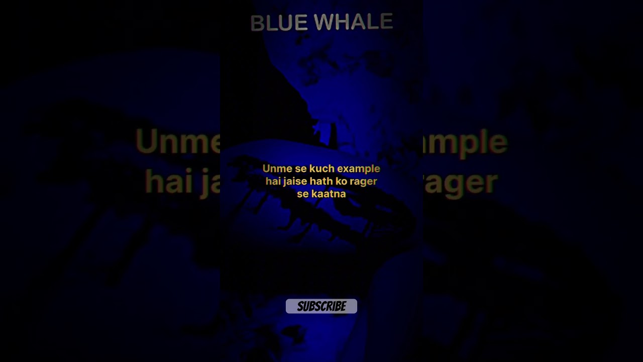 BLUE WHALE | The Most Dangerous Game | 50 Impossible Tasks 