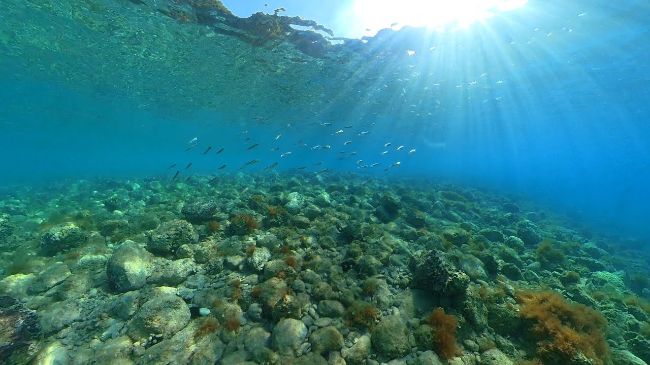 Kamp Dole i Boban  ⏩  Blato  Živogošće   4K