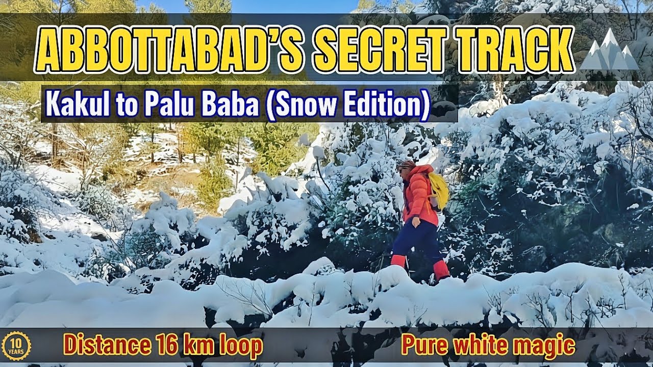 January Snowfall Turns Abbottabad Into a Winter Paradise ❄️ | 4K Relaxing Nature