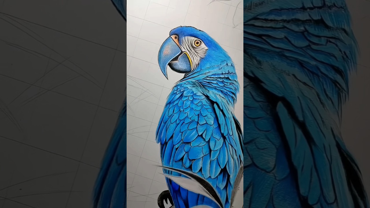 Parrot Portrait penting 🦜  