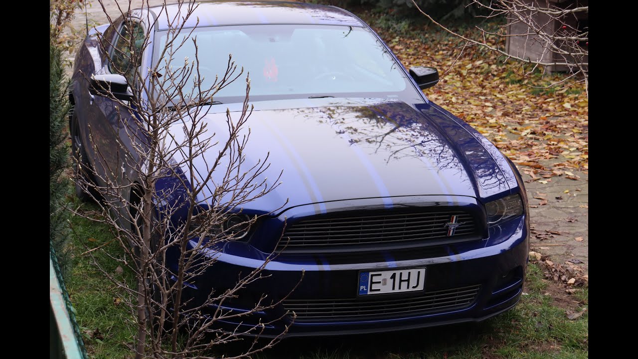 MUSTANG Kleimy Pasy 👉znaczy się Mateusz z WrappMat