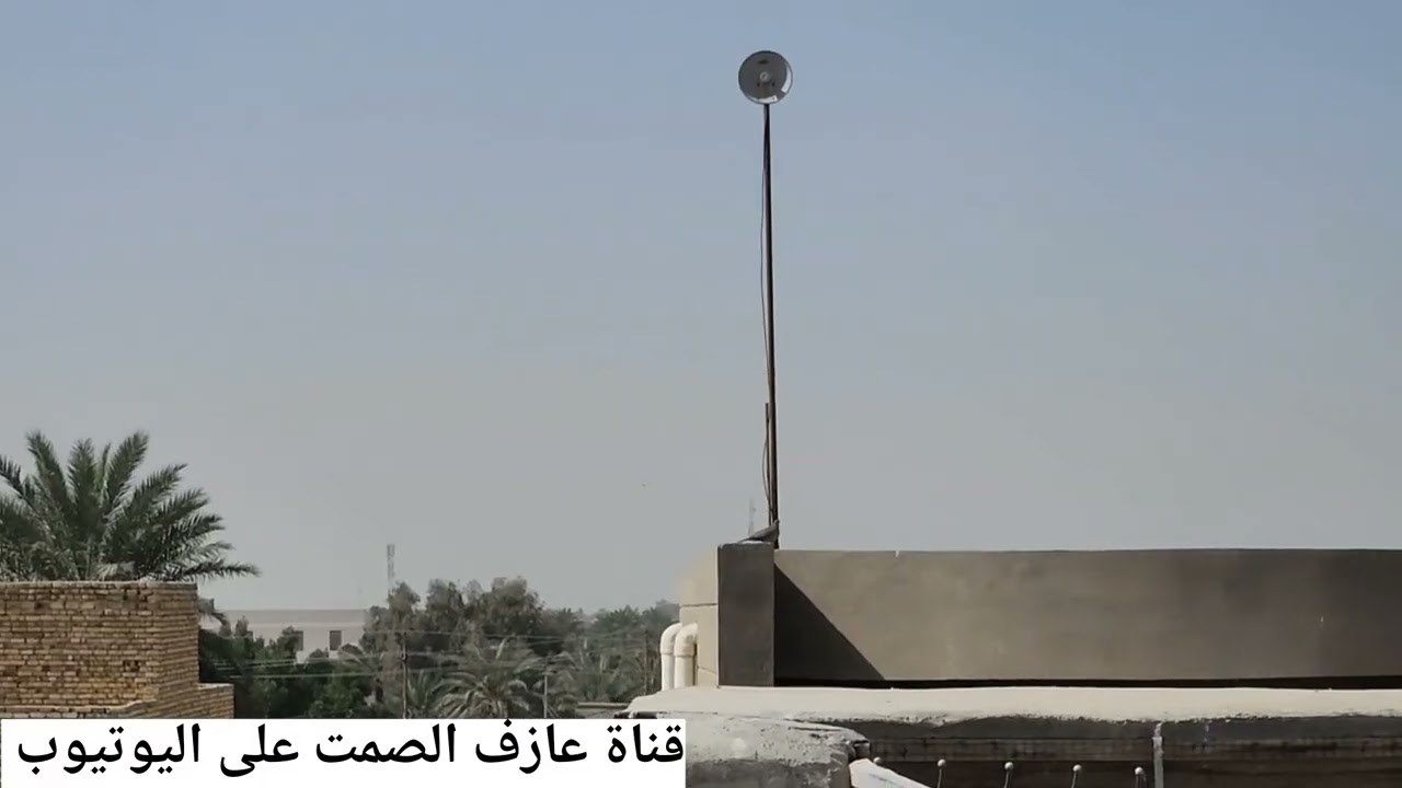 صيد 💪 ضياع 🙄تخريج ✌️غربه😡مطيار الحمر والتور👍تفاصيل  وفرخات 🫶