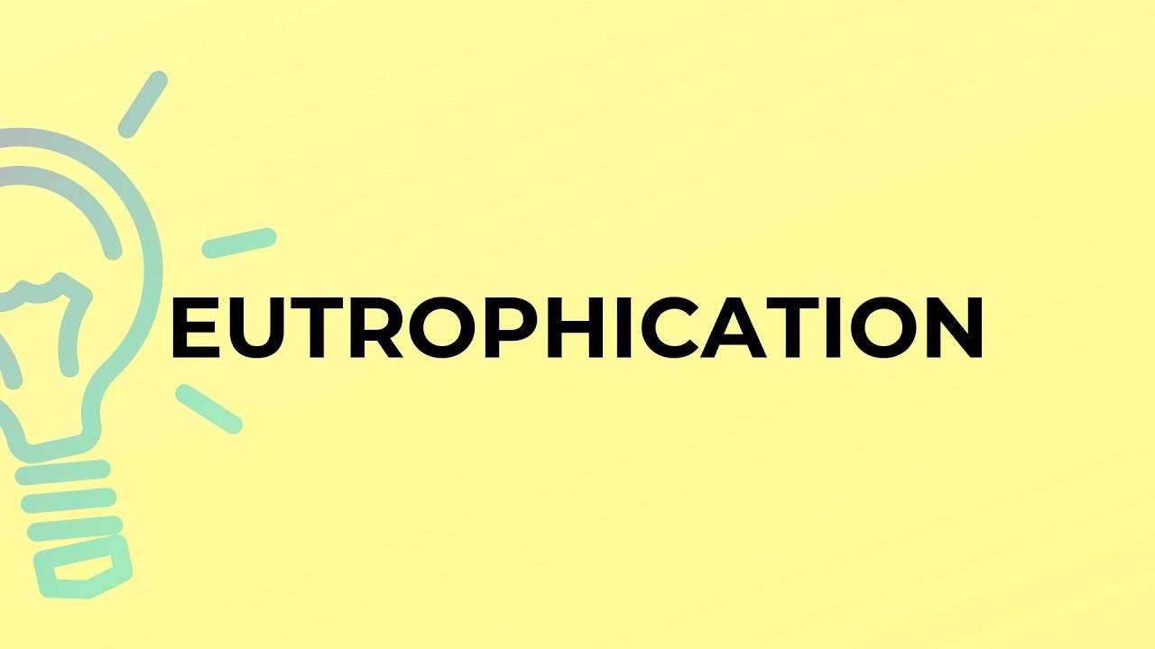 What is the meaning of the word EUTROPHICATION?