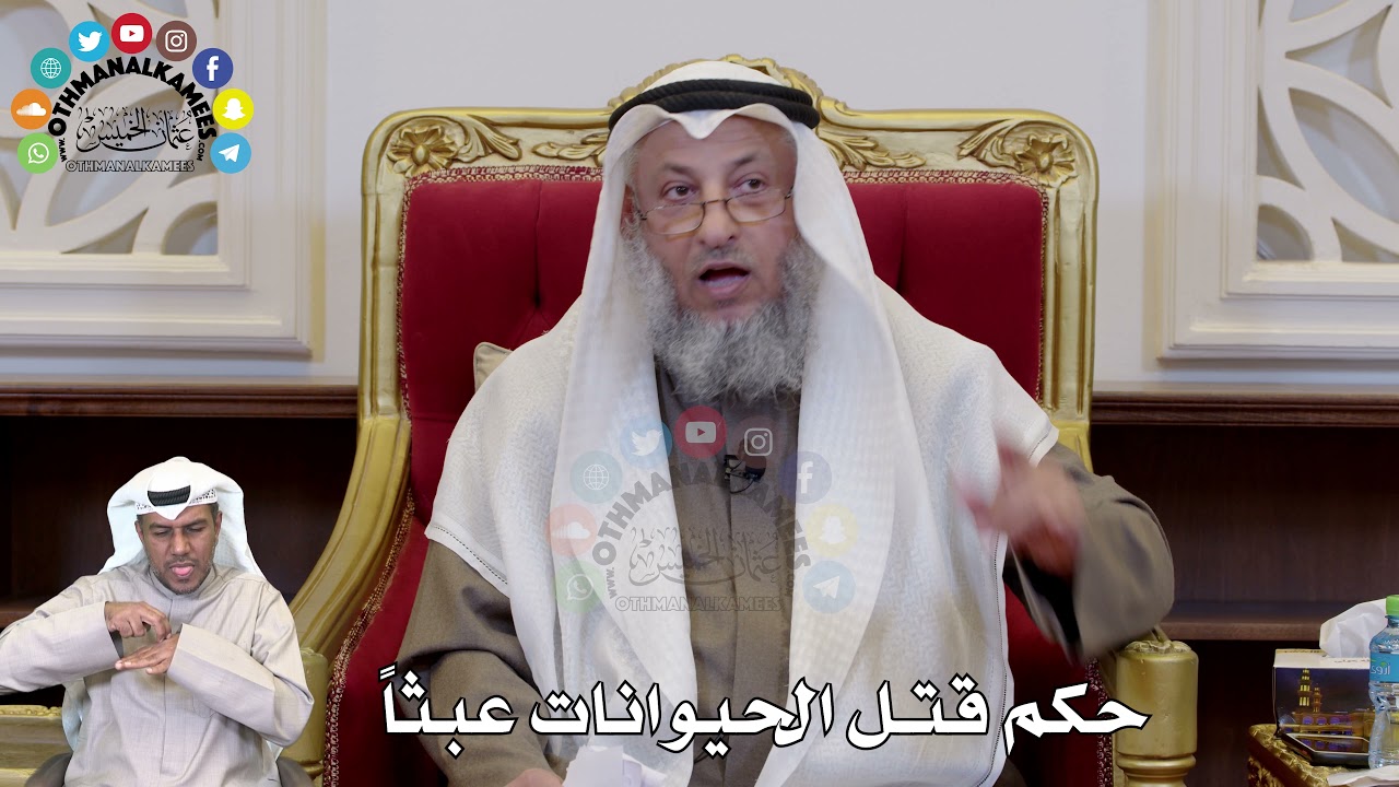 1323 - حكم قتل الحيوانات عبثاً - عثمان الخميس