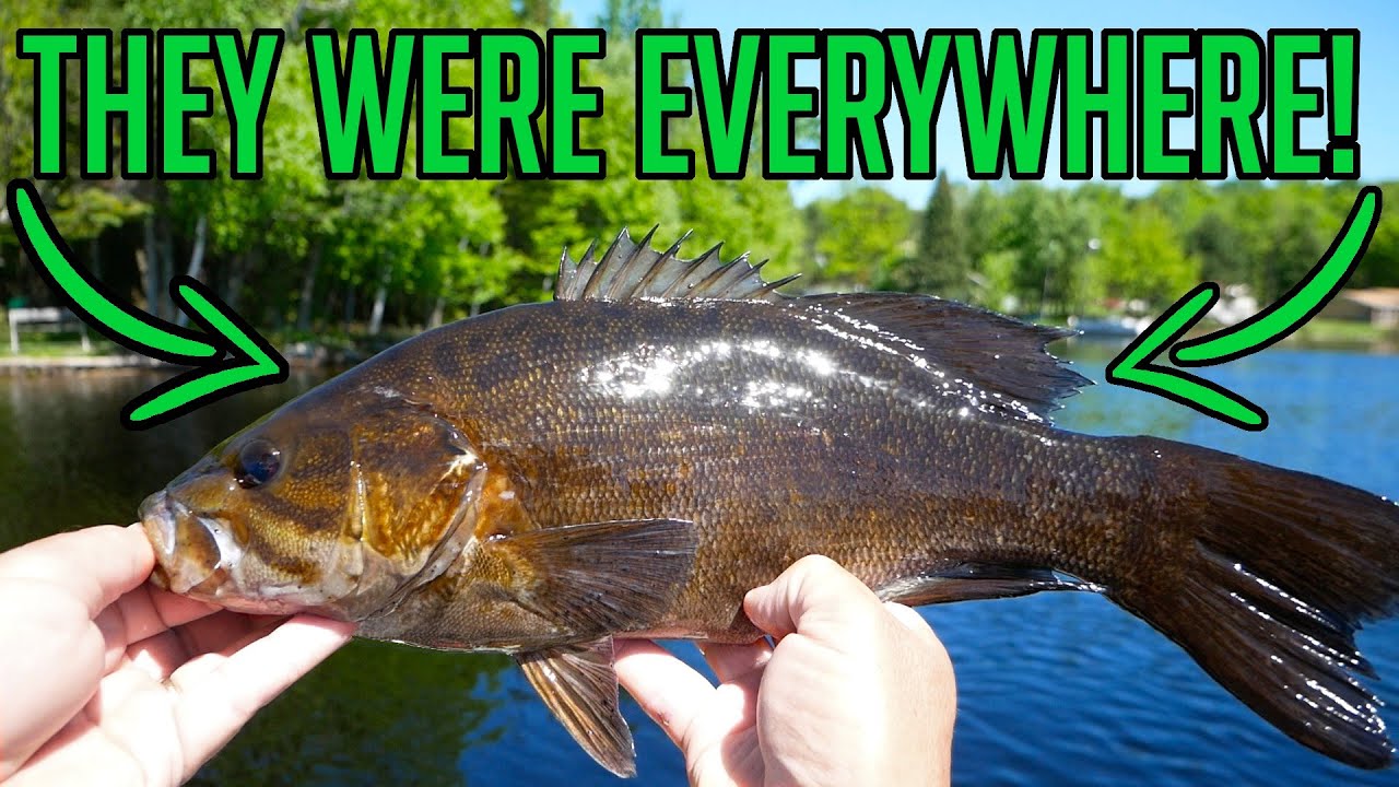 Turtle Flambeau Flowage - One of Wisconsin's BEST Smallmouth Bass Fisheries!