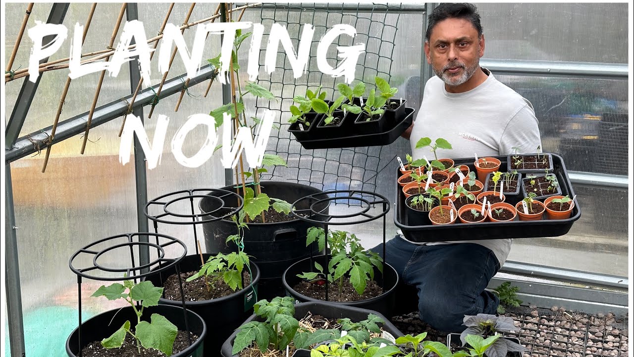 What Are We Planting In April | Tips For Growing Okra In UK