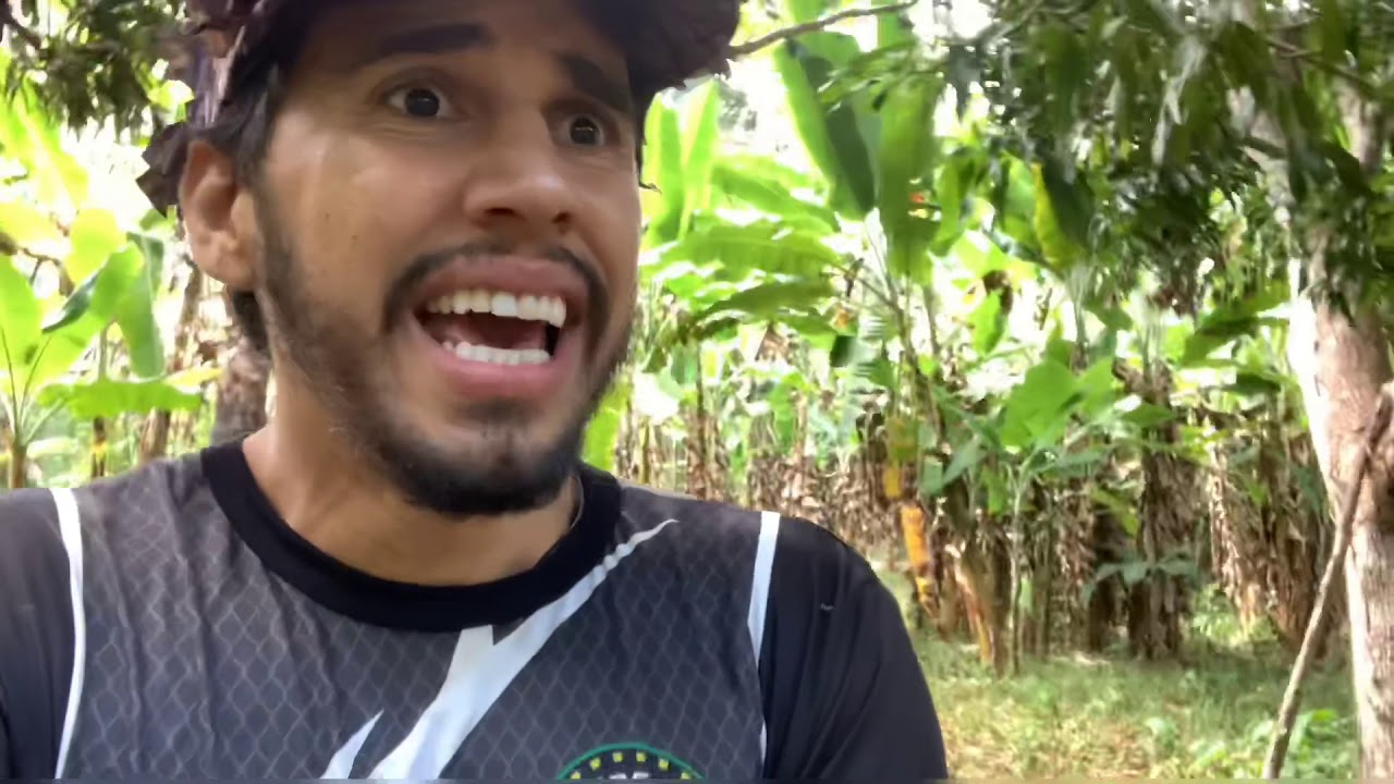 Acidente com arma de fogo !