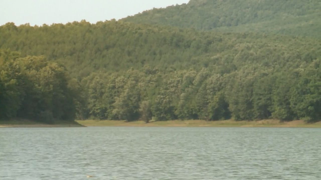 HAZAI HORGÁSZ - A Komra-völgyi víztározó kincsei - a Big Carp Teammel - I. rész (archív)