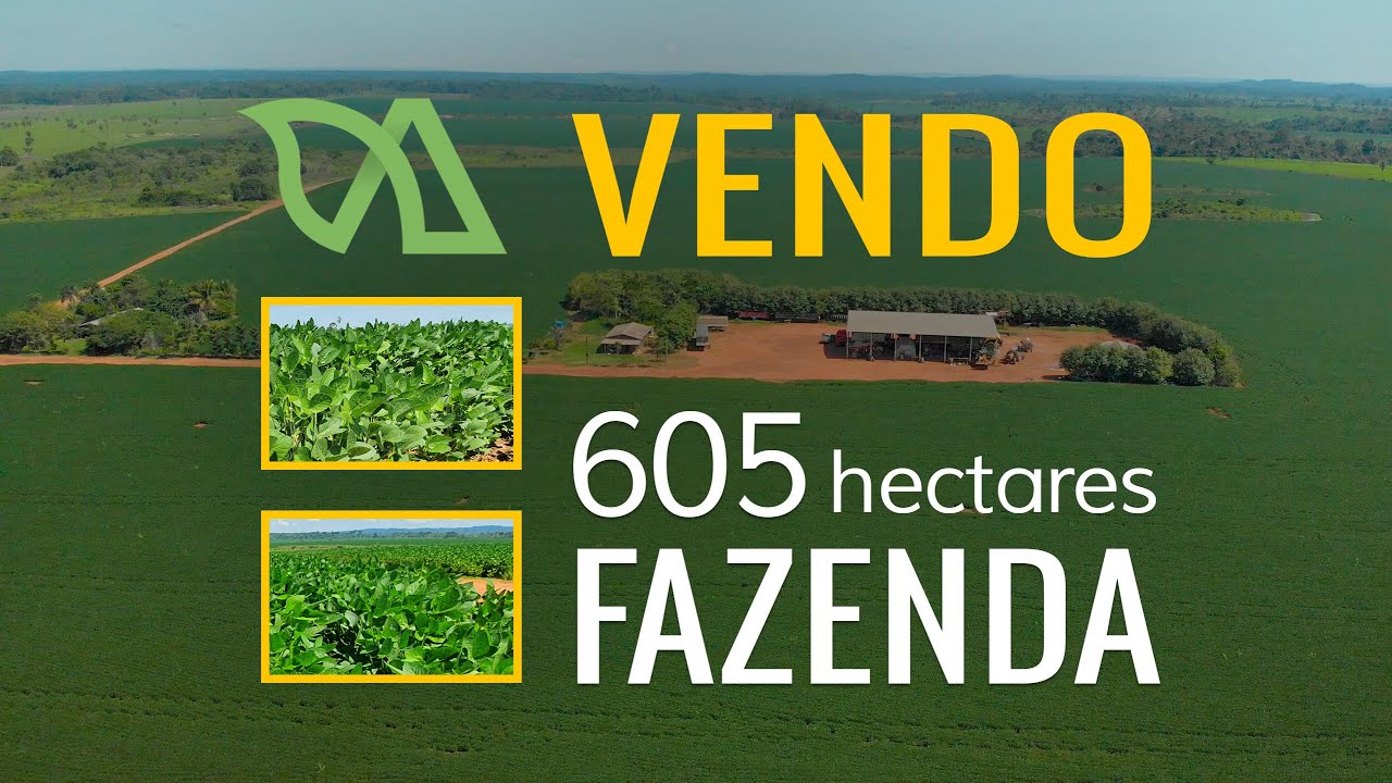 Novo WHATSAPP (66)992491098VENDO - MELHOR FAZENDA para lavoura, 605 hectares, Novo Mundo, Mt.