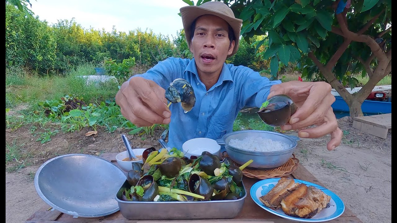 SĂN ĐÊM ỐC BƯU ĐEN XÀO DỪA KHÔ ĐỌT LỤC BÌNH LÁ CÁCH VỪA LẠ VỪA QUEN ĂN HOÀI HONG ĐÃ THÈM