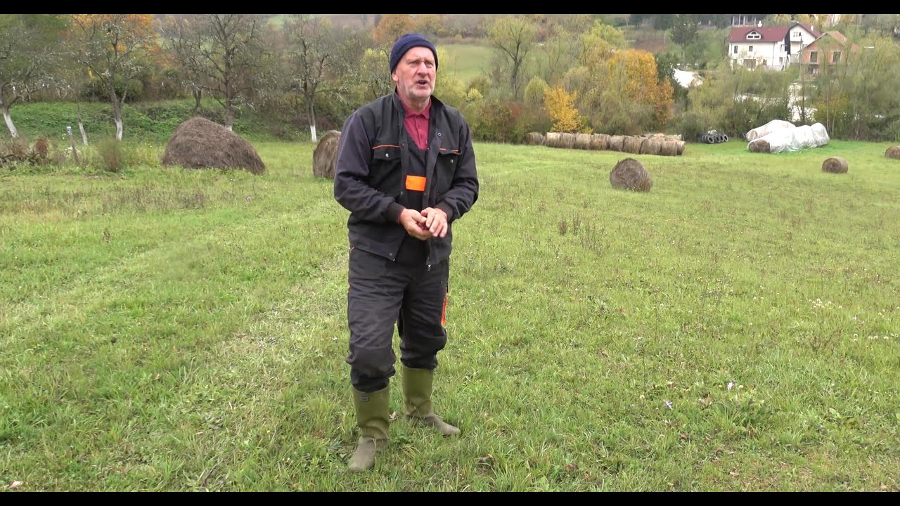 Napravim pauzu sa predavanja  pa pokidam štalu.Dali se profa čuje na balegu šapuću u razredu