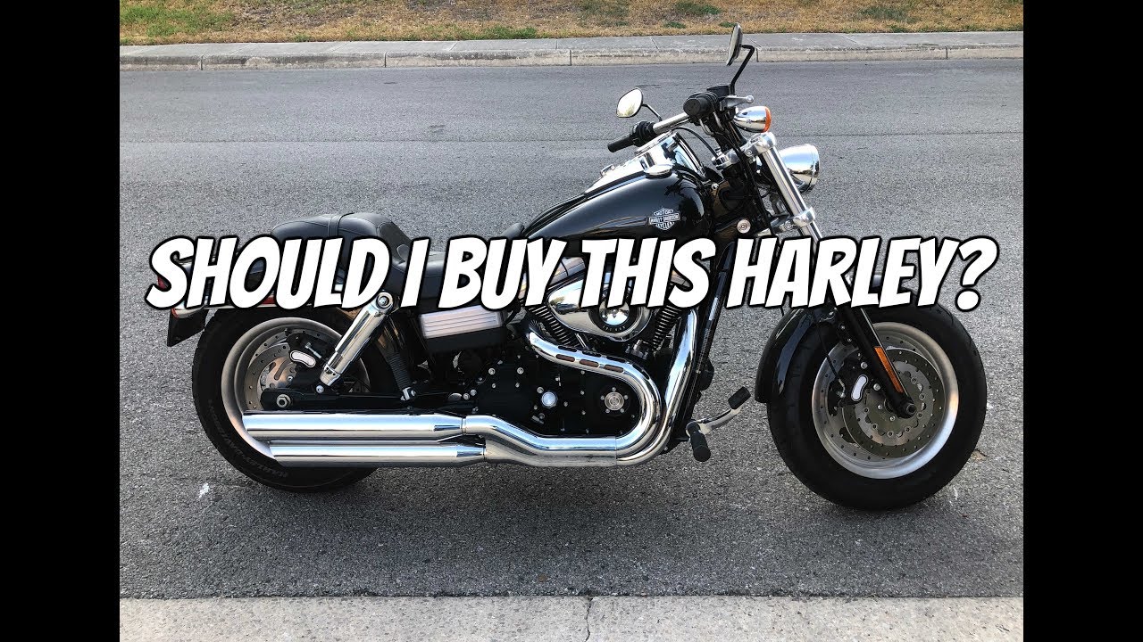 Should I buy this Harley?  Harley Davidson Dyna Fat Bob Review & Test Ride - Vulcan S 650 Comparison