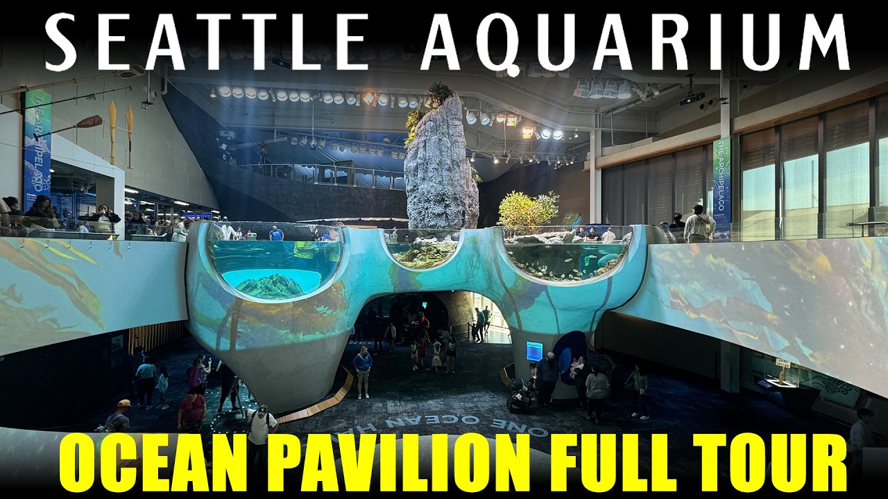 Seattle Aquarium's Ocean Pavilion - 2024 - Walking Tour - Full Walkthrough - 4k