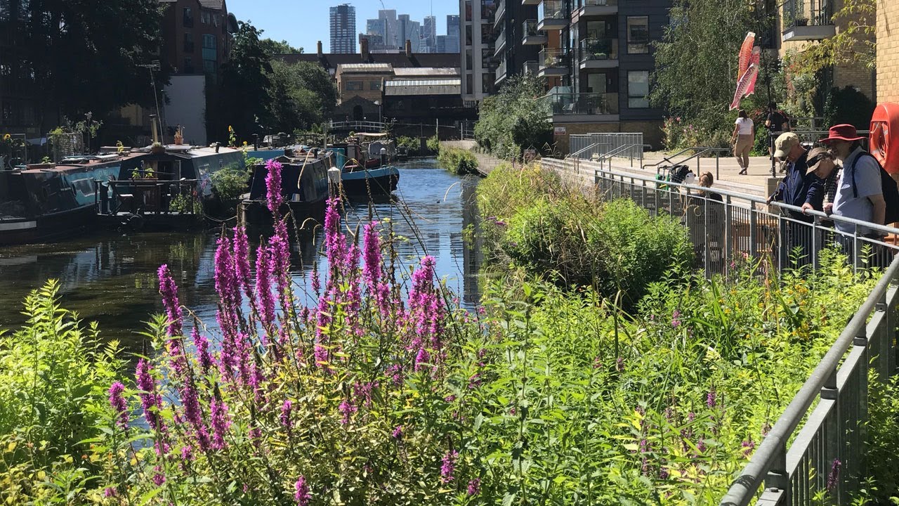 From dream to reality: A new award-winning nature reserve comes to life in London