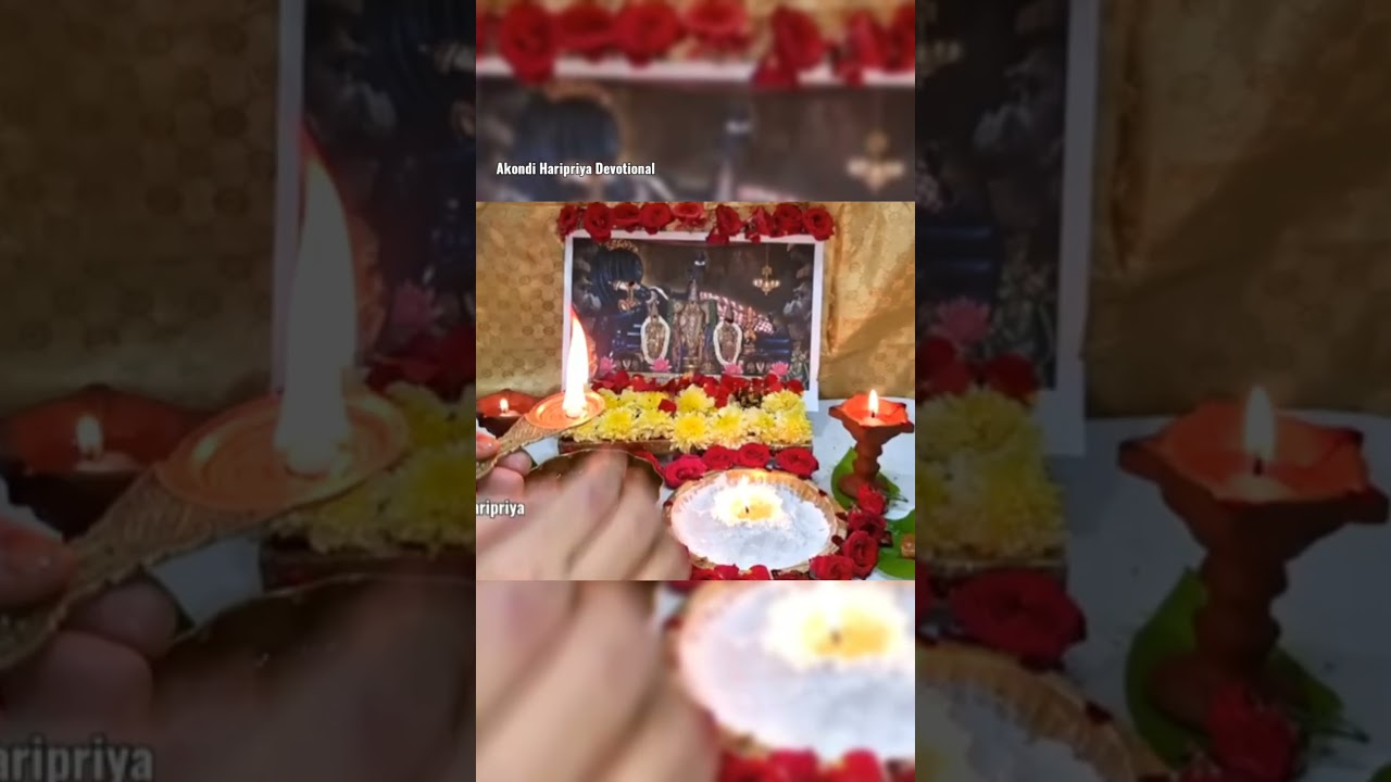 చొల్లంగి అమావాస్య రోజున ఈ పనులు మర్చిపోవద్దు Chollangi Amavasya 2026 Pooja 