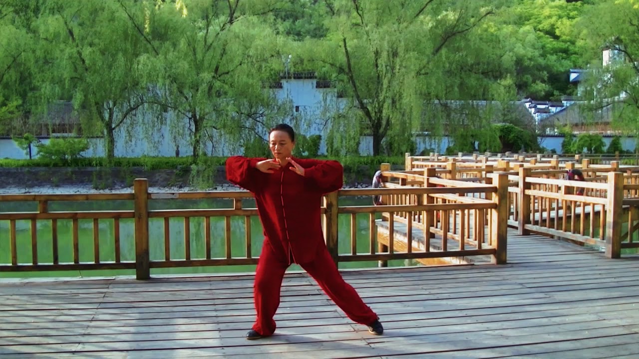 Chen-style 19 form Tai Chi by Wang Bo