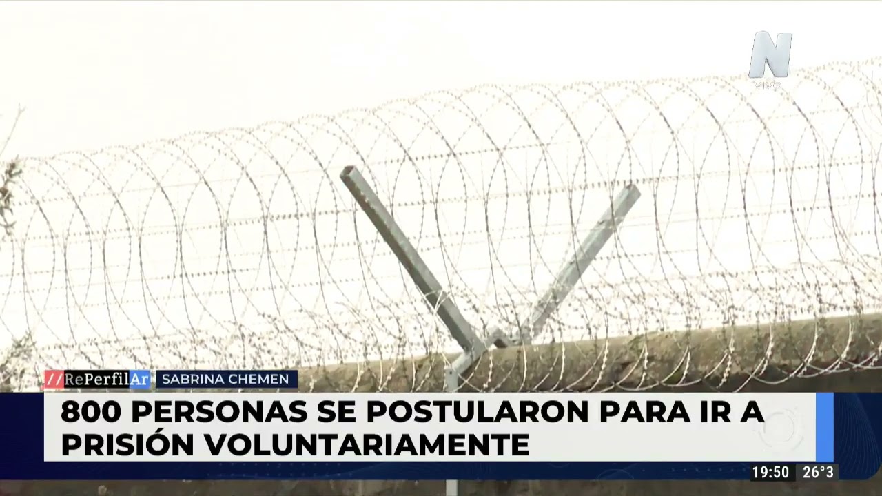 ¿Cómo son las cárceles en Suiza?: buscan voluntarios para vivir la experiencia