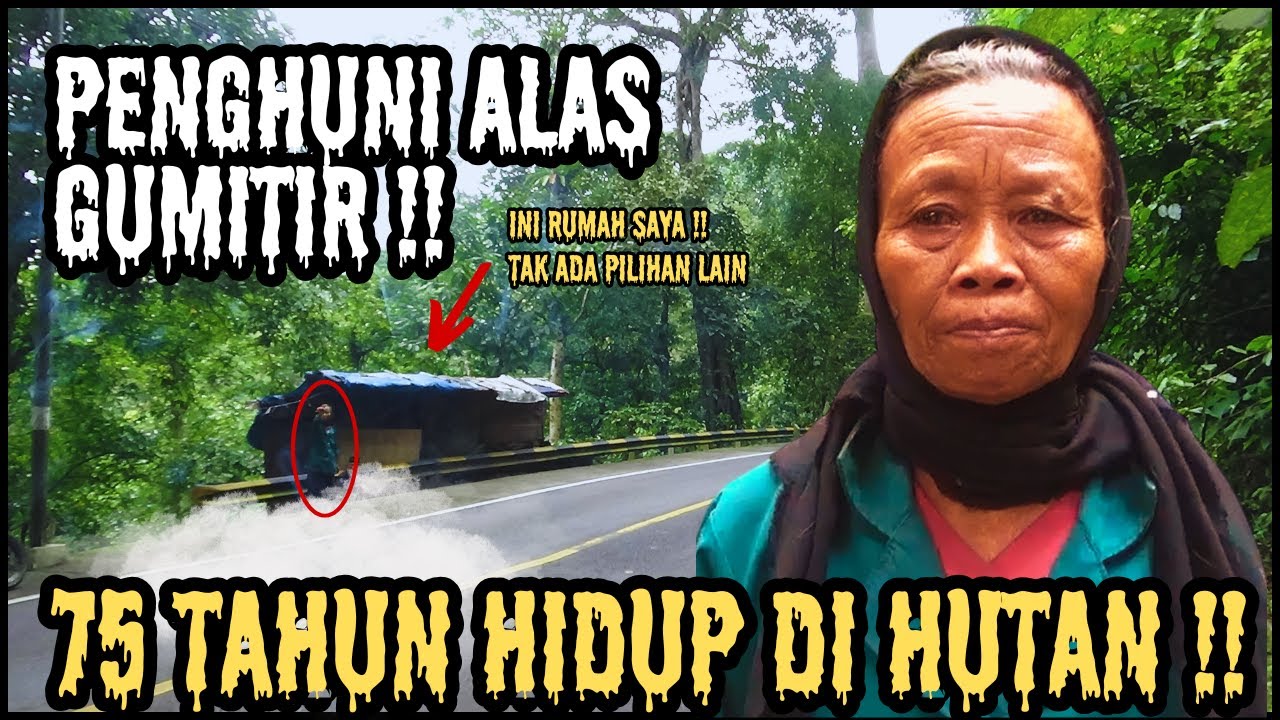Mengunjungi Kehidupan di HUTAN ANGKER Alas Gumitir